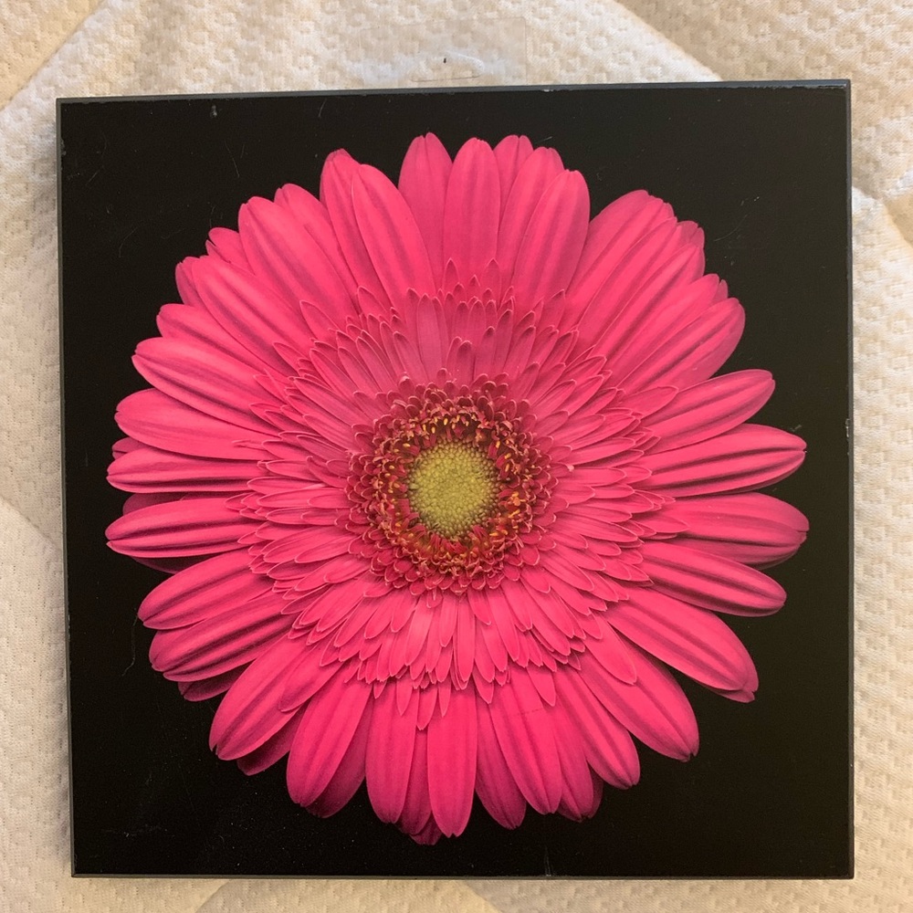 Summer decor!